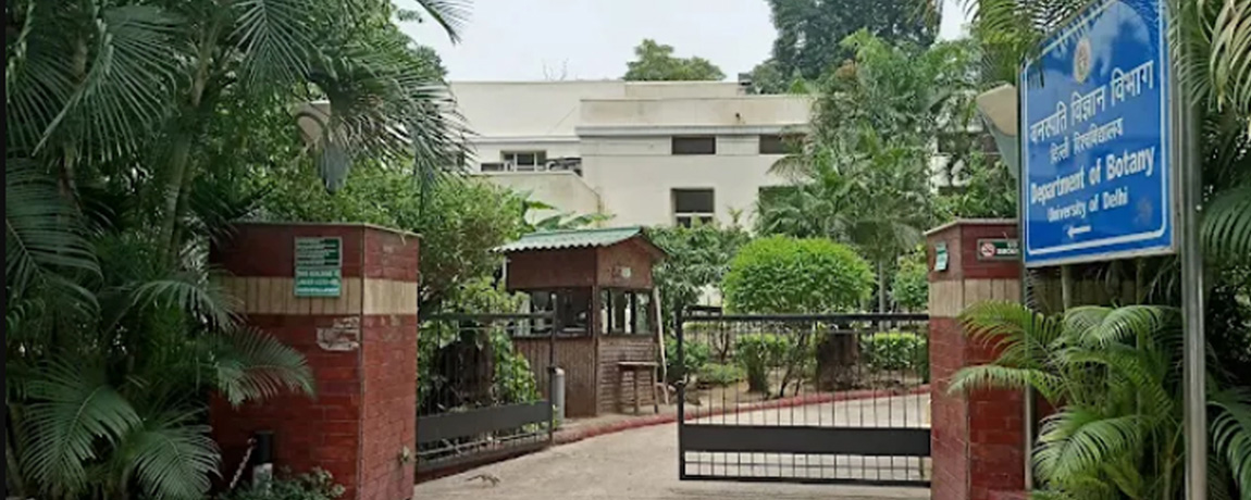 University of Delhi